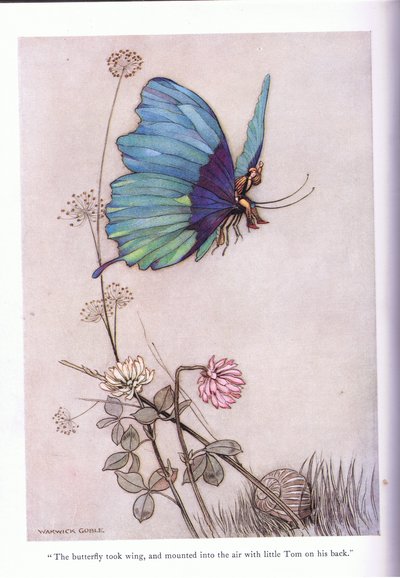 The butterfly took wing by Warwick Goble